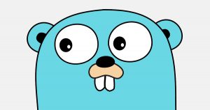 One Year Using Go