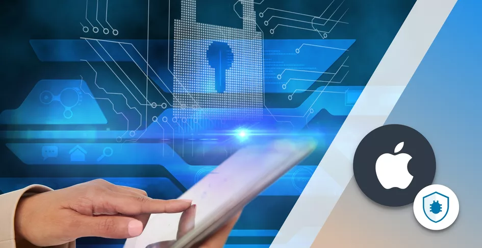 Apple Privacy Requirements